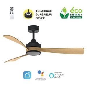 Fanelite Ventilateur de plafond Manihi Noir