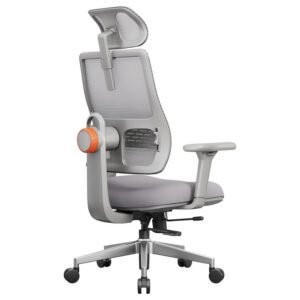 NEWTRAL MAGICH003 Chaise de Bureau Ergonomique, Dossier Auto-Suivant, Support Lombaire Adaptatif, Têtière Ajustable, Gris