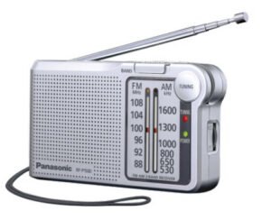 Panasonic RF-P150DEG Portable Analogique Argent