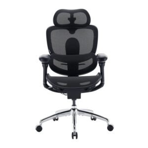 Doro C300 Pro V2 Chaise ergonomique - sans repose-pieds, soutien adaptatif pour tout le corps(noir)