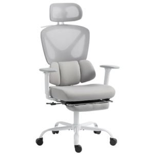 Roline Chaise bureau ergonomique grise soutien lombaire repose-pieds