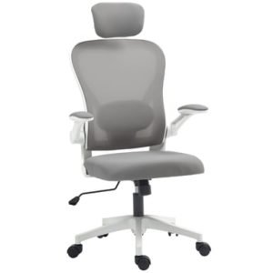Roline Chaise de Bureau Ergonomique Grise avec Support Lombaire