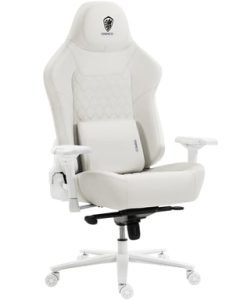 200kg 4D accoudoirs soutien lombaire jeu blanc