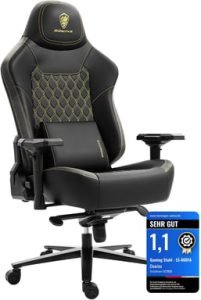 200kg 4D accoudoirs soutien lombaire jeu noir