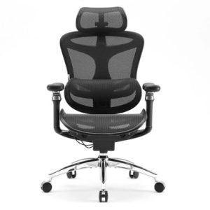 C300 PRO Chaise ergonomique Noir