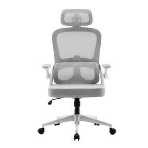 Chaise de bureau ergonomique Sihoo M102C Blanc