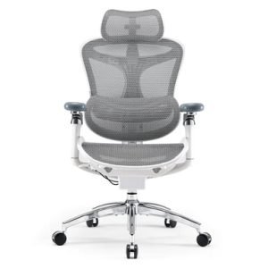 C300 PRO Chaise ergonomique Blanc (2)