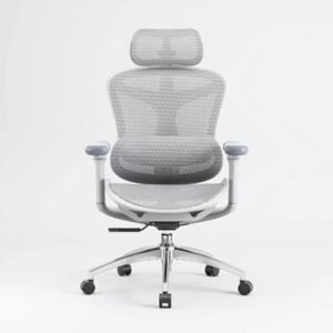 C300 Chaise ergonomique Blanc