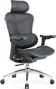 C300 Chaise ergonomique Noir