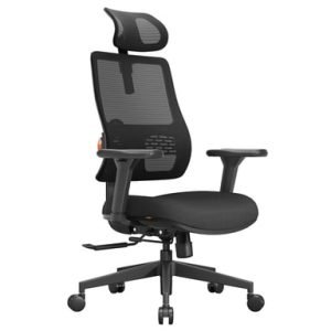 Newtral MagicH003 Chaise Ergonomique