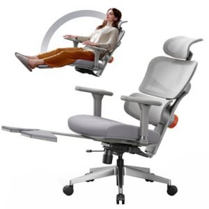 Newtral NT002 Chaise Ergonomique Gris