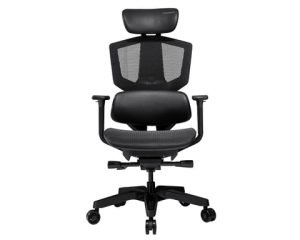 Cougar Gaming Argo One Noir