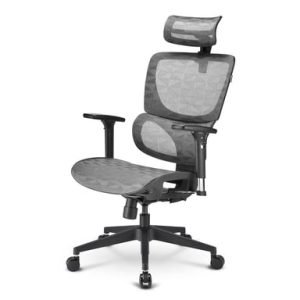 Sharkoon OfficePal C30M gris